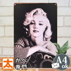 uLŔ g ZNV[K[ |X^[ hkv jOCeA ZNV[ ZNV[K[ AeB[N ZNV[K[ sexy G ̎q  l A[g  mN mg[ A