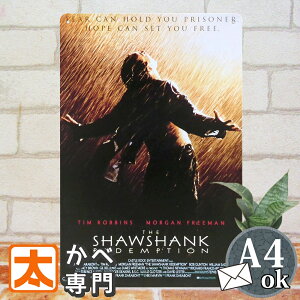 V[VN̋ uLŔ k eBrX f|X^[ G CeA A[gpl S Y  EoQ[ ꔭt] AfB [Kt[} G G Ǌ| m 