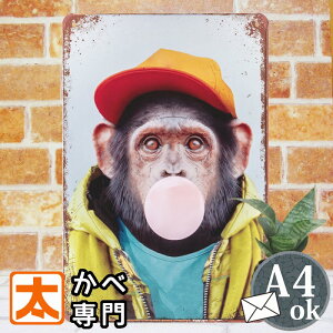 A[gpl Jt uLŔk  t[ZK |X^[ G Ǌ| CeAG  T L[ monkey `pW[   p[J[ Lbv CXg G AJ