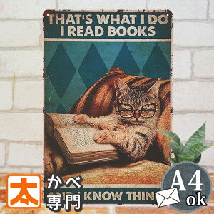 uLŔ s L ˂ { R[q[ 3 |X^[ G CeAG A[gpl A[g{[h Ǌ| AJG v[g CXg G  _ 30cm A4 