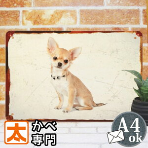 ブリキ看板 犬 チワワ クリーム グッズ アート ポスター 絵 壁掛け インテリア雑貨 金属アートパネル ちわわ Chihuahua うるうる 瞳 グッズ わんこ ワンちゃん 子犬 仔犬 置物 イラスト 絵画 プ