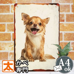 ブリキ看板 ガーデン s チワワ グッズ レッド 動物 アート ポスター 犬 絵 壁掛け インテリア雑貨 アートパネル ちわわ チワワグッズ 柄 わんわん わんこ 子犬 置物 イラスト アイアン プレー
