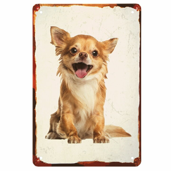 楽天市場 ブリキ看板s チワワ レッド 犬 ポスター 絵 壁掛け インテリア雑貨 金属アートパネル ちわわ Chihuahua うるうる 瞳 グッズ わんこ ワンちゃん 子犬 仔犬 置物 イラスト 絵画 プレート おしゃれ モダン 可愛い かわいい 舌 ベロ 茶色 ブラウン の 30cm