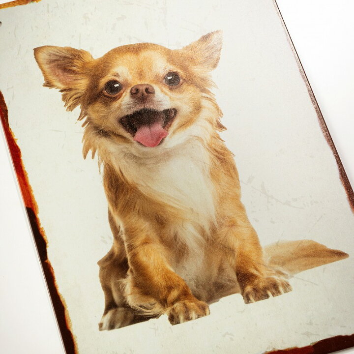 楽天市場 ブリキ看板s チワワ レッド 犬 ポスター 絵 壁掛け インテリア雑貨 金属アートパネル ちわわ Chihuahua うるうる 瞳 グッズ わんこ ワンちゃん 子犬 仔犬 置物 イラスト 絵画 プレート おしゃれ モダン 可愛い かわいい 舌 ベロ 茶色 ブラウン の 30cm