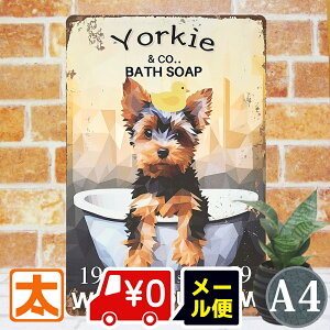 A[gpl  uLŔ s [NV[eA |X^[ G CeA G  [NV[ eAG  ObY G Ǌ| CXg G y  _ 킢 