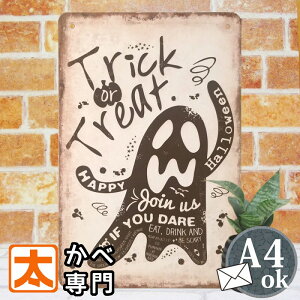 nEB   ObY mg[ uLŔ  CeA G fBXvC I[ig v[g K[fjO K[f ObY H ΂ IoP S[Xg H t 