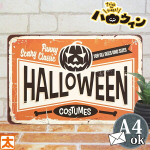 nEB   uLŔ s ڂ HALLOWEEN IW G ObY I[ig nEB[ J{` Z pvL H fBXvC fR[V  TCv[g A