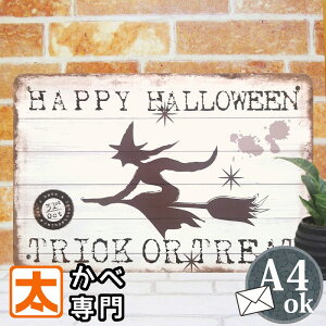 H  nEB  mg[ uLŔ   CeAG |X^[ G I[ig  @g CXg v[g fBXvC K[f  ֏ u X O 