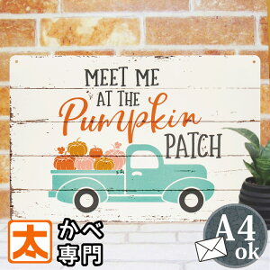 nEB t uLŔ ڂ oX |X^[ G ObY  Ǌ| Ǐ CeAG  A[gpl pvL nEB{[h   CXg G v