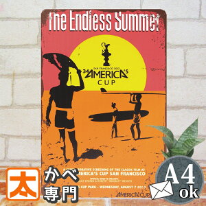 uLŔ s GhXET}[ IȂ f|X^[ G Ǌ| CeAG A[gpl THE ENDLESS SUMMER T[tBf T[t{[h C  m