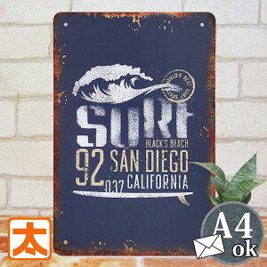 uLŔ s T[tB 92sd C |X^[ G CeA A[gpl G T[t{[h 썑  AJG CXg Ǌ|  _ g