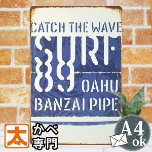 uLŔ T[tB  F C |X^[ G nCAG HAWAII nC A[g G pl G CeA CeAG K[fjO Ŕ A[gpl r[` } T[tn sur