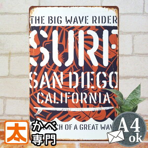 �A�[�g�p�l�� ���C�� �C �u���L�Ŕ� s �T�[�t�B�� �J���t�H���j�A�B �T���f�B�G�S �I�����W�F �� �|�X�^�[ �G �n���C�A���G�� �Ǌ|�� �C���e���A�G�� �r�[�` �T�[�t�n surf �A�����J���G�� �T