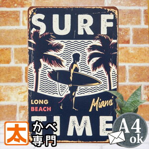 nCA A[gpl uLŔs C T[t ti r[` jOCeA |X^[ T[tB A[g ObY G TC{[h TCv[g G CXg Ǌ| AJG v