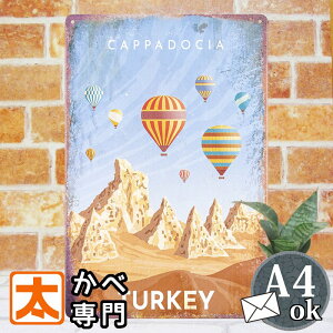 uLŔ s gR JbphLA C |X^[ G Ǌ| CeAG A[gpl turkey EY i iF i    CXg G AJG v[g  