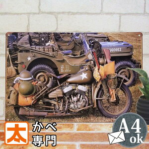 uLŔ ʃoCN |X^[ G A[gpl jOCeAG ObY ~^[ ČR USA[~[  푈  ToCoQ[jOCeA G jO G l炵  