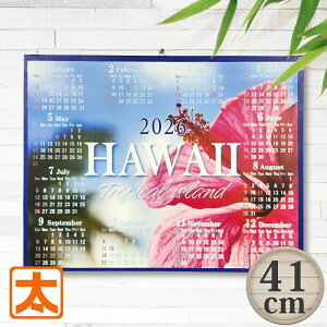 J_[ 2026 Ǌ|  nC 41 nCrXJX |X^[ LoX A[gpl G CeAG nCA nCAG MѐA ԕ ϗtA C CXg G NԈꖇ 1n