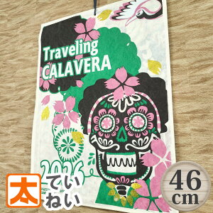 J_[ 2026 [ 46 LVJ |X^[ G Ǌ| CeAG ObY KCRc XJ Jx LVR ҂̓ ҂̍Ղ GXjbN AWAeCXg 肷 荗 