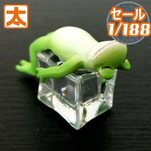 220~OFFz ACXAj} JG  u 킢  ЂObY   ACe