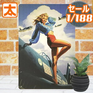 290~OFFz uLŔ s@ 555 CeA |X^[ G ~j Ŕ 퓬@ ČR ~^[ USA[~[ G sibvK[  TC{[h TCv[g A[g AJG jO