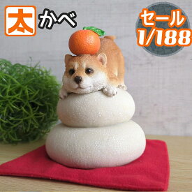 390円OFF】 柴犬 置物 ミニ サイズ 12 鏡餅 正月 正月飾り お正月飾り 玄関 モダン 卓上 犬 グッズ 雑貨 柴犬グッズ 動物 犬 鏡もち 置物 置き物 犬の置物 人形 オブジェ ガーデン ガーデニング 庭 2025 の ぬいぐるみ 陶器 キャラクター かわいい 可愛い リアル カレンダー