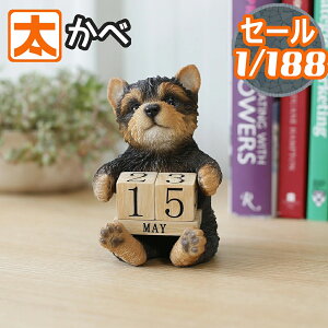 500~OFFz [NV[eA J_[ 12 CeA  [NV[ eAG ObY G J_[ NJ_[ CeAG u u IuWF   K[f 