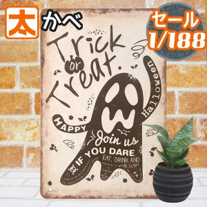 50%OFFz nEB   ObY mg[ uLŔ  CeA G fBXvC I[ig v[g K[fjO K[f ObY H ΂ IoP S[Xg H 