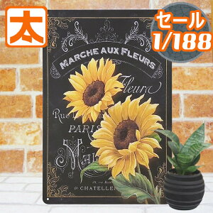 490~OFFz A[gpl Ђ܂ uLŔ s  mar  |X^[ G A[g A[gt[  CeA q} G A[g{[h Ǌ| AJG v[g CXg G 