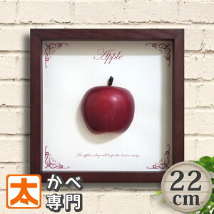 A[gpl 22  G CeA G  Ǌ| Ǐ |X^[ LoXA[g t@ubNpl N̗ǂ G G A[gt[ zt t[c ʕ ь S Ab