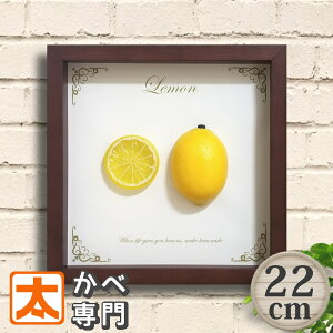 A[gpl 22  CeA G  Ǌ| Ǐ |X^[ A[g|X^[ LoXA[g t@ubNpl G A[gt[ zt t[c ʕ l[h 