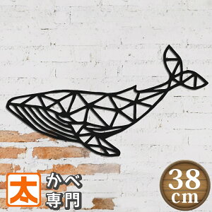 P20{z ؐ EH[fR[V 38 ~ NW ObY G |X^[ G CeA  A[g EH[ pl A[g A[gpl Ǌ| Ǐ ObY u CXg G  ^y