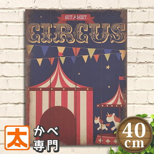 ؐŔ40 ̃T[JX T[JXc |X^[ G Ǌ| CeAG I[ig A[gpl CIRCUS  Vn [S[h G CXg AJG v[g {[h 