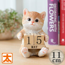 茶トラ 猫 グッズ 卓上カレンダー 12 インテリア トラネコ トラ猫 茶トラ猫 白猫 チャトラ 猫雑貨インテリア 雑貨 カレンダー 万年カレンダー 置物 置き物 オブジェ 玄関 庭 卓上 ガーデン 日めくり 週 2025 の マスコット ぬいぐるみ おしゃれ かわいい 可愛い 小さい 動物