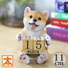 柴犬 卓上カレンダー 12 インテリア 犬 柴犬 グッズ 雑貨 カレンダー 万年カレンダー 柴犬グッズ しばいぬ 赤柴 置物 置き物 オブジェ インテリア 玄関 庭 ガーデン 玄関 卓上 日めくり めくり 週 2025 の ぬいぐるみ おしゃれ かわいい 可愛い 赤色 白 リアル 小さい 動物