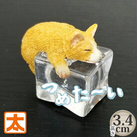 アイスアニマル 犬 コーギー 動物 置物 かわいい 夏 ひんやりグッズ 夏 涼む アイテム