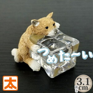 ACXAj} Č  u 킢  ЂObY   ACe