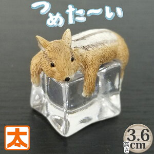 ACXAj} X  u 킢  ЂObY   ACe