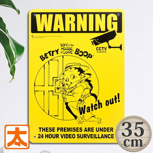 vX`bNŔ35 xeB[u[v hƃJ |X^[ G LN^[ Ǌ| Ǐ CeAG A[gpl CXg G I[ig AJG v[g  rO 