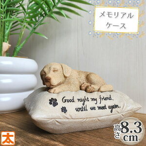 P10{z A{bNX uh[ go[  A P[X  ybg   ⍜ ObY 