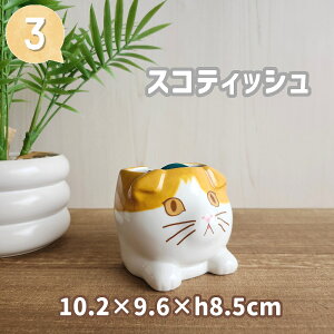 ጭ L  ~j  ጭ  ˂ L^ n` L XReBbVtH[h ጭ ጭ  ĕ 킢  