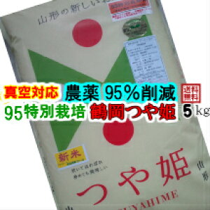 [_95%팸EI[KjbN엿] [^pbNΉ]ߘa7NY 95ʍ͔|߉P y5kgz [!(ΏےnL) ]