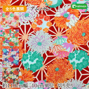 a eɖ̗tl S5F 110cm 10cmP ؂蔄yzn n a anzy1204z