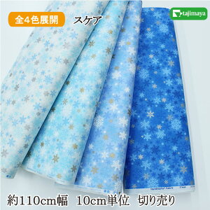 NX}X vg ̌i啿j S4F 10cmP ؂蔄yzn zn n | Rbg X'mas NX}Xz