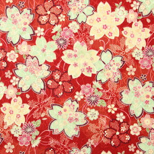 a ߂WK[h TN S5F 110cm 10cmP ؂蔄