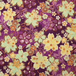 a ߂WK[h TN S5F 110cm 10cmP ؂蔄