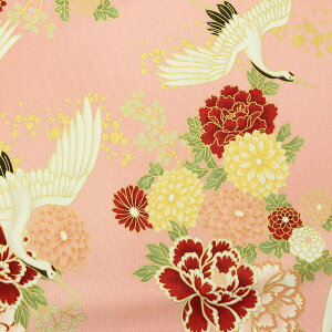 a S㇗ g˕l ʔ S2F 110cm 10cmP ؂蔄