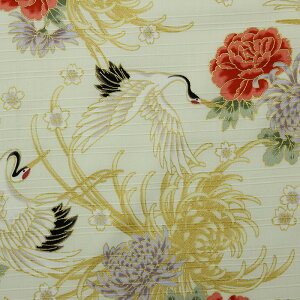 a Fʕl ʒ߂Ƌel S2F 110cm 10cmP ؂蔄