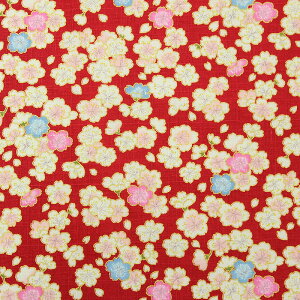 a ʍU炵l S5F 110cm 10cmP ؂蔄