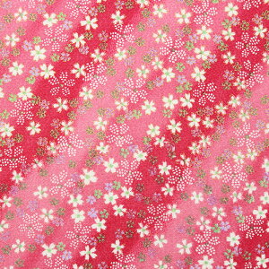 [߂vg ʎ΂ߍᕶl S3F 70cm 10cmP ؂蔄yz n a an kɁz