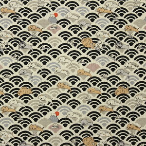 ȖLoX Cg˂ S5F 110cm 10cmP ؂蔄